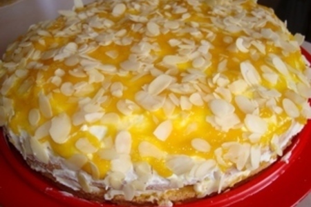 Фото к рецепту: Пирог-торт с манго и творожным кремом "забава"