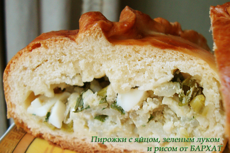 Фото к рецепту: Пирожки с яйцом, зеленым  луком и рисом (пироги)