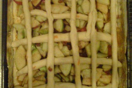 Фото к рецепту: Пирог "яблочный" с изюмом, абрикосовым вареньем