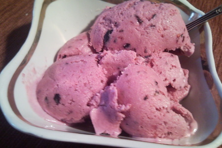 Фото к рецепту: Сливочно-ягодное мороженое