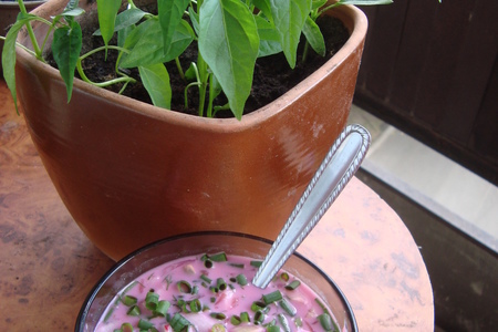 Фото к рецепту: Aukstā zupa (холодный суп) или окрошка по-латышски (как делаю я)