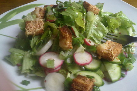 Фото к рецепту: Зелёный салат с хрустящими гренками
