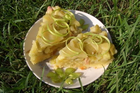Фото к рецепту: Пирог из ревеня "и даже вкусно"