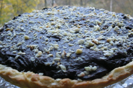 Фото к рецепту: Шоколадно-ореховый пирог "фрут энд нат отдыхает"