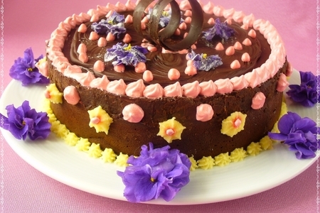 Фото к рецепту: Шоколадный торт  «служебный шокороман»