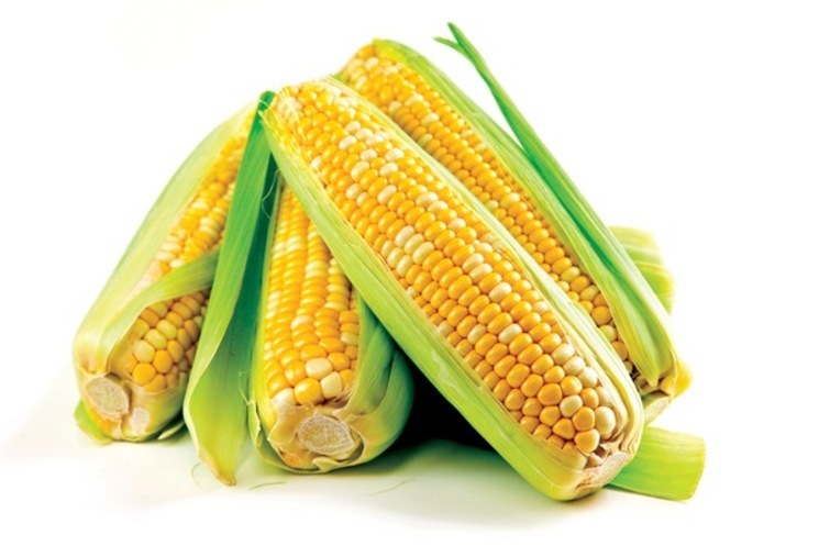 Сколько варить кукурузу?