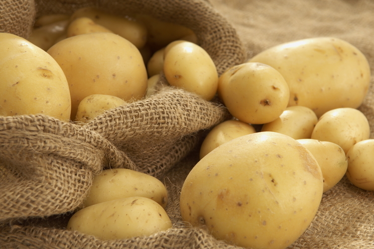 Урожай картофеля: когда копать и как хранить