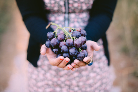 Десять причин включить виноград в свой осенний рацион