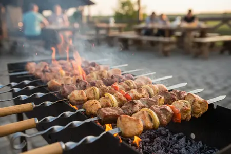 Шашлыки. Что выбрать: мясо или рыбу? С чем лучше сочетать?