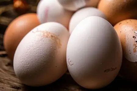 6 фактов про куриные яйца: состав, калорийность, категории, свежесть, срок хранения и отличие столовых и диетических яиц
