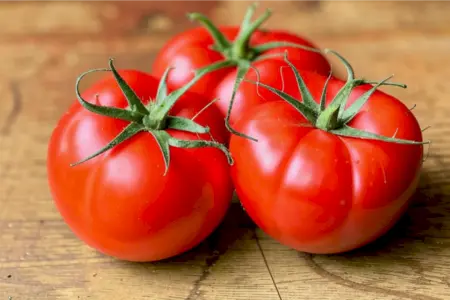 Помидоры: что это, виды, самые вкусные сорта, польза, вред, калорийность, 3 быстрых и вкусных рецепта с томатами