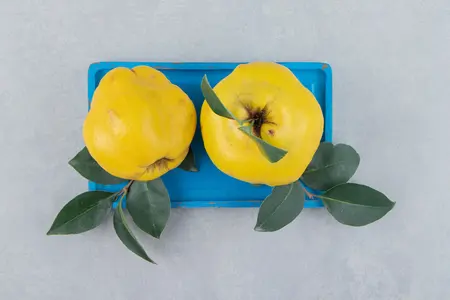 7 рецептов вкусных блюд с айвой: утка, говядина, свинина, салат, соус,  запеченный фрукт, террин