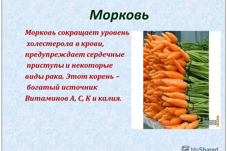 Что можно найти в тарелке щей? Часть 3. Морковь, ее польза. И почему в странах Евросоюза морковь - это фрукт??! Плюс бонус- варенье из моркови с апельсином!