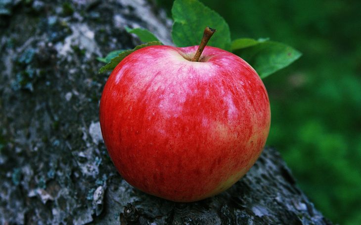 Red Apple Fruit Wallpaper