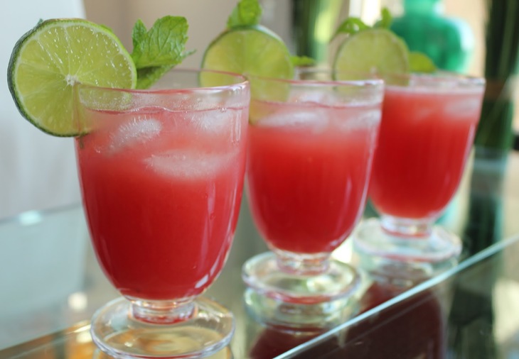 Sparkling-Watermelon-Punch-Bowl-10