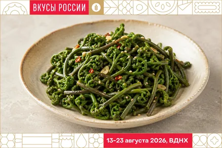 Соленый папоротник с Камчатки: попробуй дикоросы на вкус