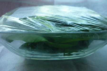Как сохранить салатные листья свежими
