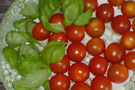 Закуска из индейки в базиликовом соусе: шаг 7