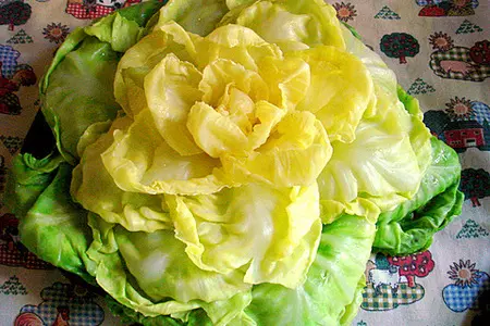 Капуста  фаршированная.: шаг 1