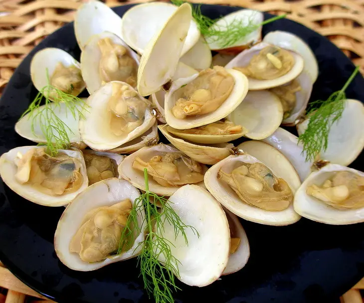 Вареные морские ракушки: шаг 1