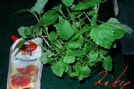 «вояж» креветки в беконе с салатом: шаг 8