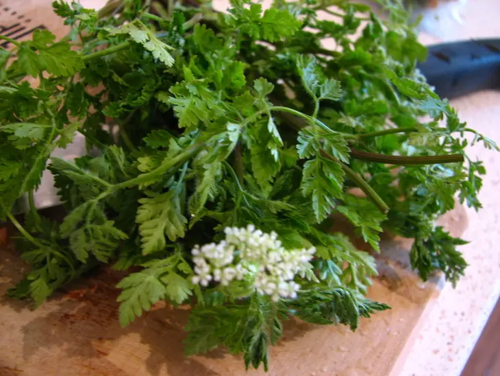 Ореховый кус-кус с сельдереем и горной кинзой: шаг 1
