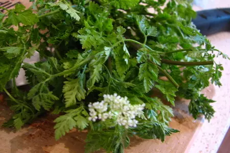 Ореховый кус-кус с сельдереем и горной кинзой: шаг 1