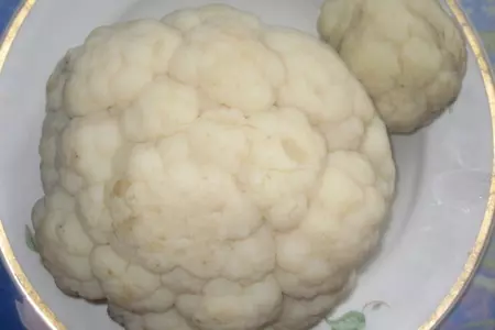Итак,зовут ее.... капуста.: шаг 1