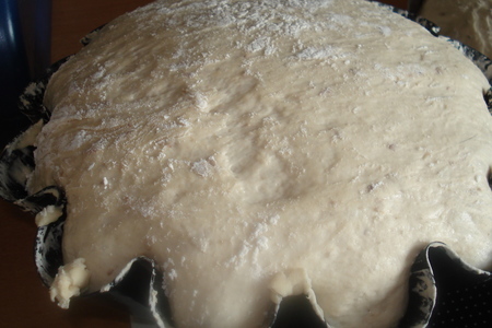 Хлеб адриано (по описанию плиния; выпекаемый ещё древними римлянами): шаг 4