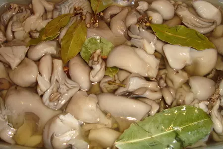 Маринованные вешенки «вкусняшки»: шаг 4