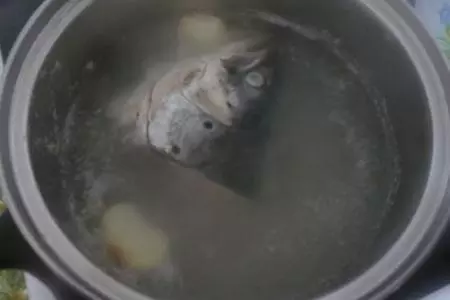 Уха антикризисная: шаг 1
