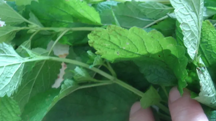 Greencake,а понашему кекс "малахитовая шкатулка": шаг 5
