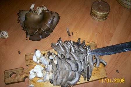 Гречневая каша с грибами: шаг 3