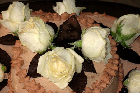 Торт "розали" с засахаренными розами: шаг 3