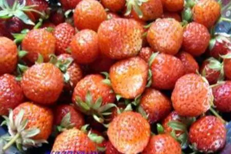 Нежный пирог со свежей клубникой.: шаг 1