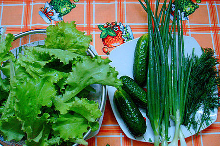 Зелёный, зелёный салат: шаг 2