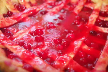 Пирог с клюквой и курицей: шаг 7