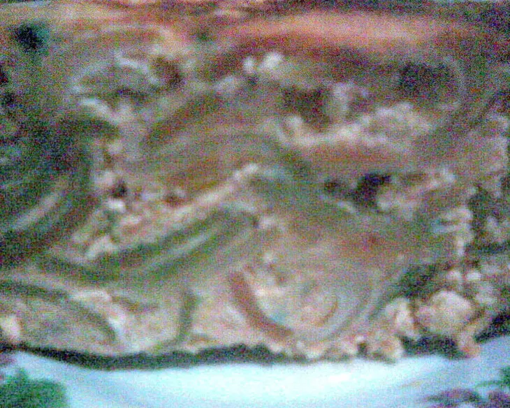 Творожная запеканка с итальянскими разноцветными ракушками и карамельным пуддингом: шаг 5