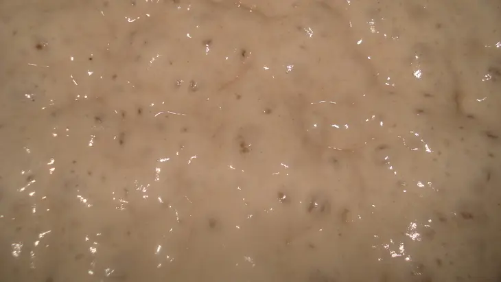 Хлеб с закваской poolish - рецепт для всех: кто боится, не умеет, не хочет и вообще не будет...: шаг 1
