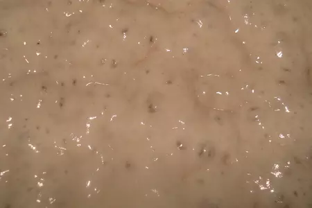 Хлеб с закваской poolish - рецепт для всех: кто боится, не умеет, не хочет и вообще не будет...: шаг 1