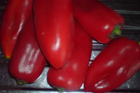Перцы, фаршированные творожным сыром с зеленью и чесноком: шаг 1