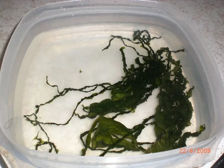 Закусочный салат из селедки и морской капусты. 2 способа подачи.: шаг 1