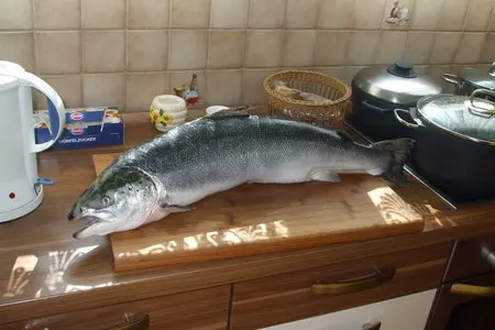 Свежесолёный лосось: шаг 1