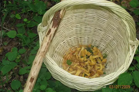 Грибной супчик: шаг 1