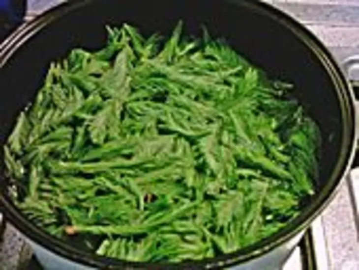 Вкусное и полезное лекарство от простуды -пихтовое лекарство.: шаг 1