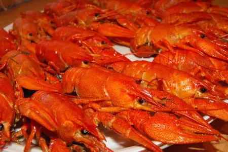 Раки вареные с сахаром!: шаг 5