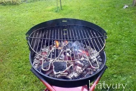 Шашлык дачный с еловыми ветками: шаг 2