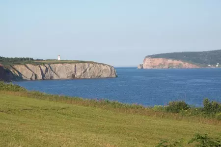 Салат с креветками и кальмарами: шаг 5