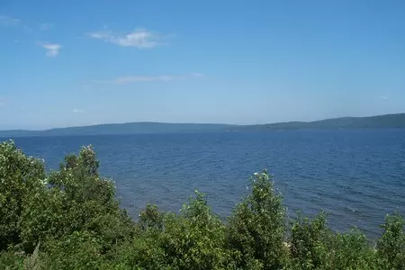 Салат с креветками и кальмарами: шаг 8