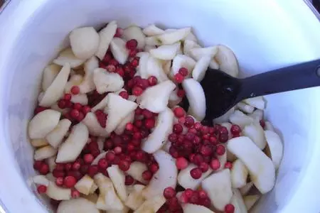 Брусничное варенье к мясу: шаг 1